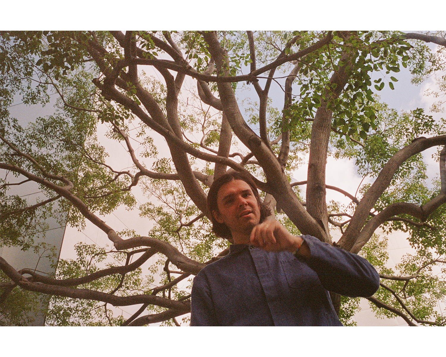 David Longstreth by tree
